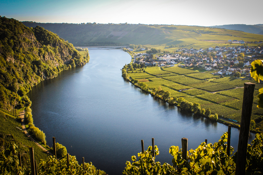 Weingut Molitor Die Mosel Weingut Molitor Die Mosel